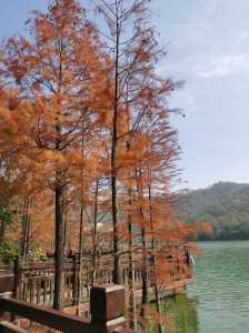 江门比较好玩的旅游景点,江门比较好玩的旅游景点有哪些 第6张 江门比较好玩的旅游景点,江门比较好玩的旅游景点有哪些 第6张