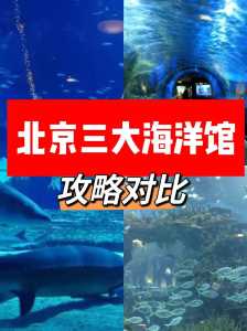 北京海底世界哪里比较好玩,北京海底世界那个比较好玩? 第4张 北京海底世界哪里比较好玩,北京海底世界那个比较好玩? 第4张