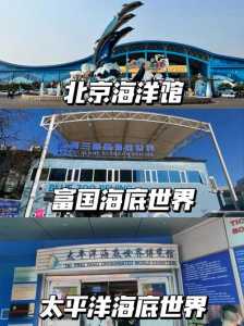北京海底世界哪里比较好玩,北京海底世界那个比较好玩? 第5张 北京海底世界哪里比较好玩,北京海底世界那个比较好玩? 第5张