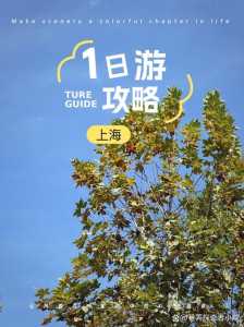 上海一日游必去路线？上海一日游必去景？  第1张