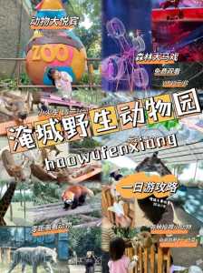 淹城野生动物园门票，淹城野生动物园门票包含小火车吗  第5张