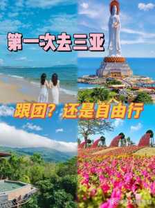 三亚跟团游还是自由行比较好?三亚是跟团还是自由行好? 第3张 三亚跟团游还是自由行比较好?三亚是跟团还是自由行好? 第3张