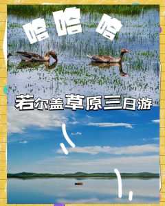 若尔盖旅游攻略?若尔盖旅游攻略手抄报? 第3张 若尔盖旅游攻略?若尔盖旅游攻略手抄报? 第3张