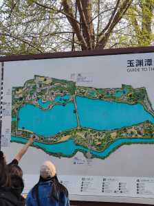 玉渊潭公园开放时间，玉渊潭公园没预约能进吗  第3张
