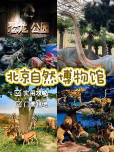 北京自然博物馆门票,北京自然博物馆免费预约? 第4张 北京自然博物馆门票,北京自然博物馆免费预约? 第4张