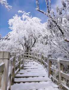 西岭雪山攻略两日游？西岭雪山攻略两日游多少钱？  第1张