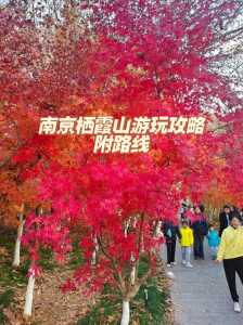 栖霞山风景区门票，栖霞山风景区门票优惠对象？  第5张