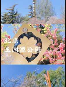 玉渊潭公园门票费用？玉渊潭公园门票费用调整原因？  第3张