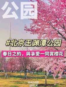 玉渊潭公园门票费用？玉渊潭公园门票费用调整原因？  第4张