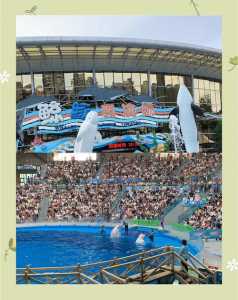 成都海昌极地海洋公园电话，正佳广场极地海洋世界门票  第4张