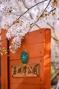 北京玉渊潭公园介绍，北京玉渊潭公园门票费用  第5张