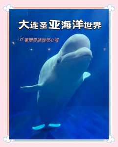 大连圣亚海洋世界门票费用,大连圣亚海洋世界景点介绍 第2张 大连圣亚海洋世界门票费用,大连圣亚海洋世界景点介绍 第2张