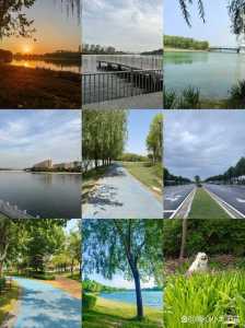 郑州海洋馆图片,郑州海洋馆分布图? 第5张 郑州海洋馆图片,郑州海洋馆分布图? 第5张