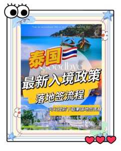 签证如何办理流程，布达佩斯过境签证如何办理流程？  第3张