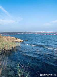 上海海滩景点大全？上海海滩景点大全排名？  第2张