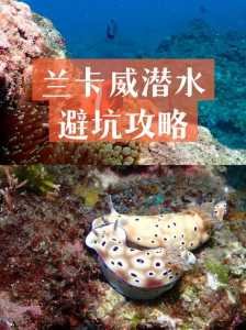 马来西亚旅游攻略景点,马来西亚景区旅游攻略 第4张 马来西亚旅游攻略景点,马来西亚景区旅游攻略 第4张