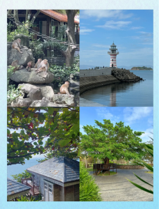 马尔代夫和三亚哪个好玩，马尔代夫跟三亚哪里好玩？  第4张