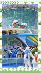 天津极地海洋馆家庭套票,天津极地海洋馆优惠政策 第4张 天津极地海洋馆家庭套票,天津极地海洋馆优惠政策 第4张