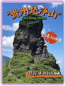 梵净山风景区门票多少钱,梵净山景点门票? 第1张 梵净山风景区门票多少钱,梵净山景点门票? 第1张