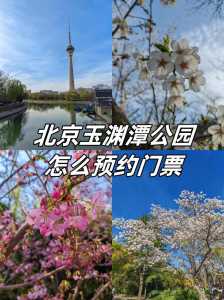 北京玉渊潭公园门票预约,北京玉渊潭公园门票需要预约吗 第2张 北京玉渊潭公园门票预约,北京玉渊潭公园门票需要预约吗 第2张