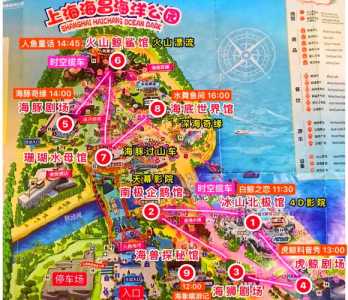 上海海昌海洋世界攻略,上海海昌海洋馆旅游攻略 第1张 上海海昌海洋世界攻略,上海海昌海洋馆旅游攻略 第1张