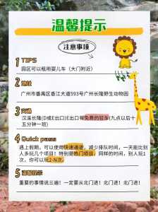 广州长隆野生动物园官方网站,广州长隆野生动物园官方网站电话号码? 第4张 广州长隆野生动物园官方网站,广州长隆野生动物园官方网站电话号码? 第4张