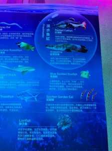 珠海海洋公园门票费用？珠海海洋公园门票费用海洋公园费用多少？  第2张