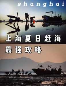 上海好玩又免费的海滩,上海哪个海滩比较好玩是免费的 第3张 上海好玩又免费的海滩,上海哪个海滩比较好玩是免费的 第3张
