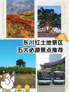 东川红土地最佳路线?东川红土地自驾游摄影详细攻略? 第6张 东川红土地最佳路线?东川红土地自驾游摄影详细攻略? 第6张