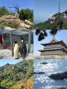 辽宁省一日游哪里好玩,辽宁省一日游哪里好玩的地方 第2张 辽宁省一日游哪里好玩,辽宁省一日游哪里好玩的地方 第2张