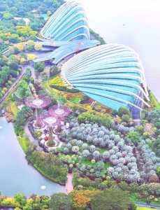 新加坡著名景点,新加坡景点图片大全 实拍 第2张 新加坡著名景点,新加坡景点图片大全 实拍 第2张
