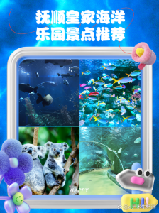 皇家极地海洋世界，皇家极地海洋世界表演时间表？  第4张