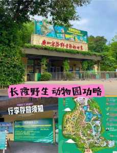 广州长隆游玩攻略一天?广州长隆攻略旅游攻略 一日游? 第2张 广州长隆游玩攻略一天?广州长隆攻略旅游攻略 一日游? 第2张