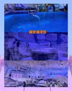 青岛海昌极地海洋公园攻略，青岛海昌极地海洋公园游记？  第5张