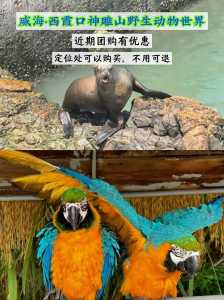 神雕山野生动物园门票？神雕山野生动物园门票599？  第1张