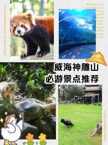 神雕山野生动物园门票？神雕山野生动物园门票599？  第3张