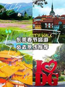东莞康辉旅行社官方网站，东莞康辉旅行社官方网站电话  第1张