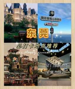 东莞康辉旅行社官方网站，东莞康辉旅行社官方网站电话  第4张