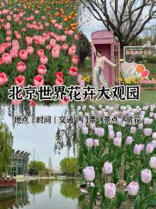 世界花卉大观园门票多少钱,丰台世界花卉大观园门票多少钱 第4张 世界花卉大观园门票多少钱,丰台世界花卉大观园门票多少钱 第4张