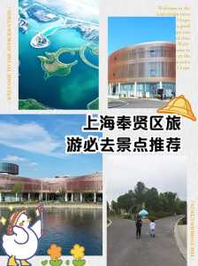 奉贤海湾森林公园门票？奉贤海湾森林公园门票老人有优惠吗？  第3张