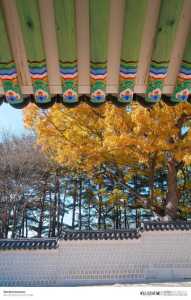 韩国风景最美的地方,韩国景色最美的城市? 第2张 韩国风景最美的地方,韩国景色最美的城市? 第2张