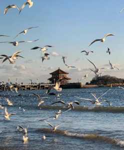 青岛一日游必去的景点?青岛一日游最佳顺序? 第1张 青岛一日游必去的景点?青岛一日游最佳顺序? 第1张