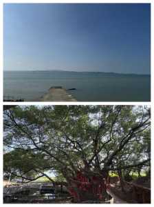 厦门大嶝岛有什么景点，厦门市大嶝岛旅游攻略？  第2张