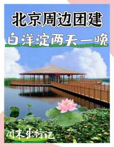 白洋淀一日游六大攻略,白洋淀一日游报团? 第3张 白洋淀一日游六大攻略,白洋淀一日游报团? 第3张