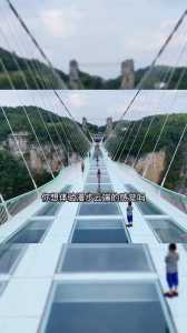 张家界蹦极的费用3000,张家界蹦极多少钱一位2021 第1张 张家界蹦极的费用3000,张家界蹦极多少钱一位2021 第1张
