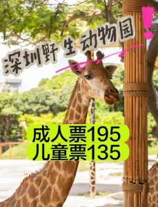 深圳野生动物园门票哪里买便宜,深圳野生动物园门票哪里买便宜点 第3张 深圳野生动物园门票哪里买便宜,深圳野生动物园门票哪里买便宜点 第3张
