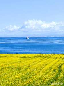 青海湖必去的几个景点?青海湖必去的几个景点图片? 第1张 青海湖必去的几个景点?青海湖必去的几个景点图片? 第1张