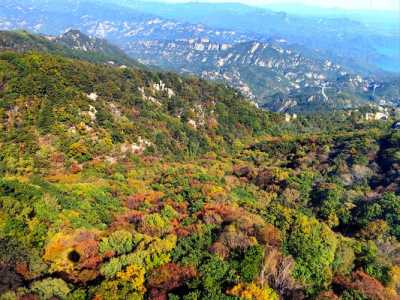 蒙山国家森林公园？蒙山国家森林公园天气？  第3张