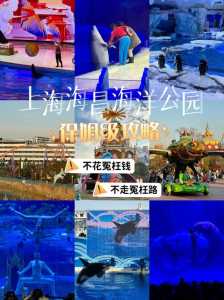 上海海昌海洋公园好玩吗?上海海昌海洋公园游玩记? 第3张 上海海昌海洋公园好玩吗?上海海昌海洋公园游玩记? 第3张