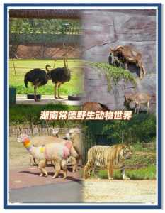 长沙市动物园门票费用，长沙动物园门票多少钱一张2020  第4张